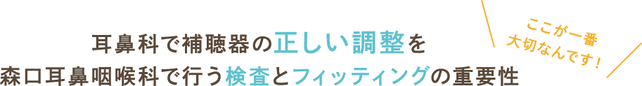 耳鼻科で補聴器の正しい調整を森口耳鼻咽喉科で行う検査とフィッティングの重要性